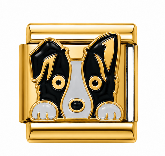 Black and White Border Collie Gold Italian Charm