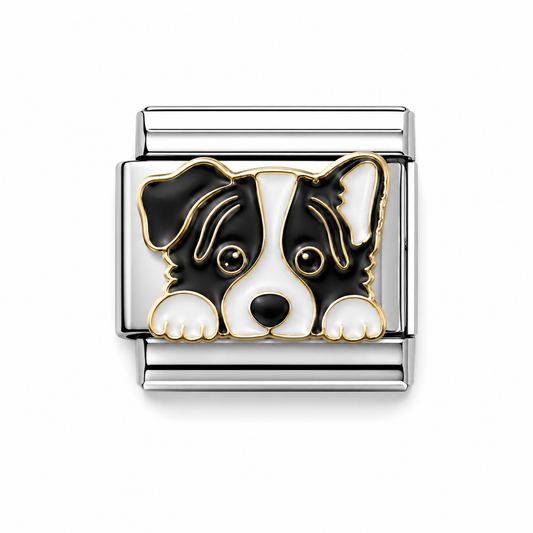 Border Collie Two-Tone Silver Italian Charm