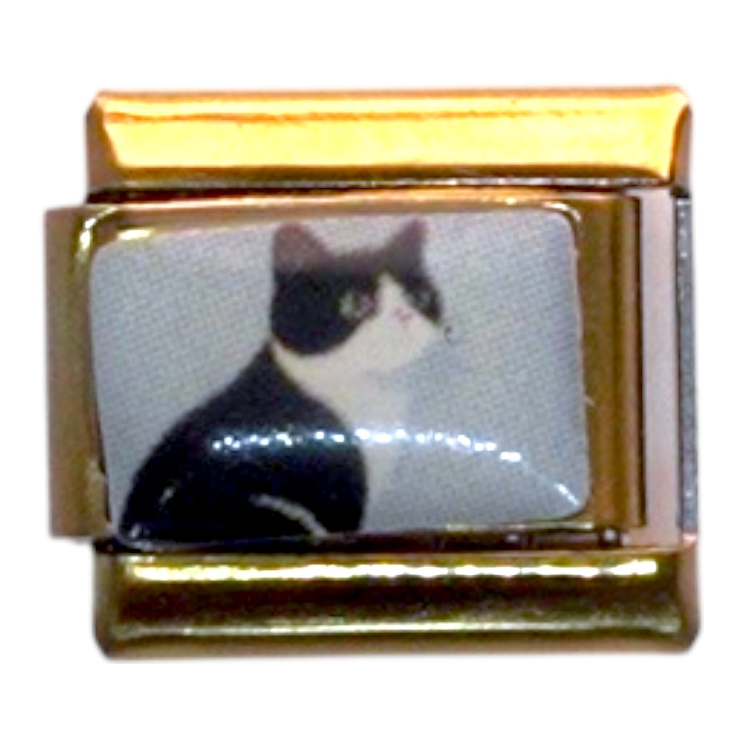 Black and White Cat Gold Italian Charm